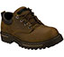 Cool Cat in Brown Cool Cat in Brown